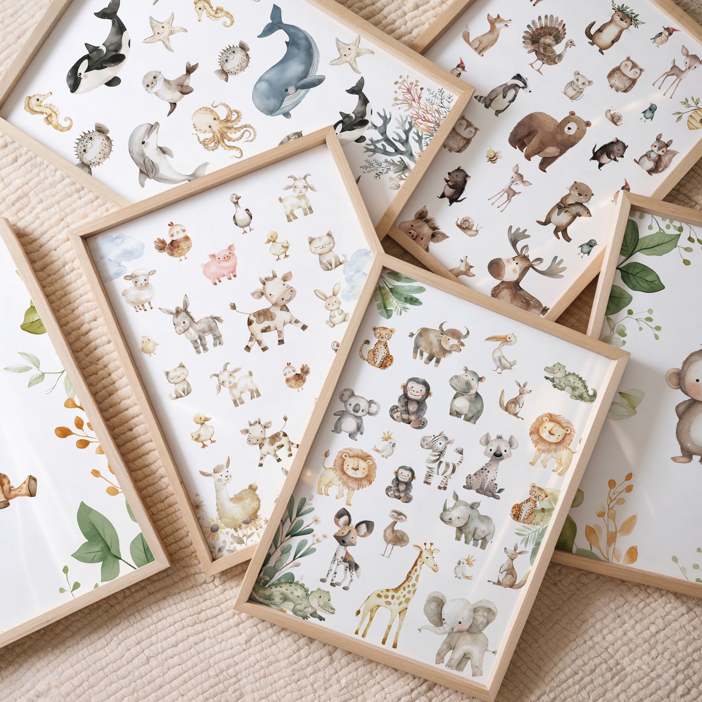 Poster zeedieren