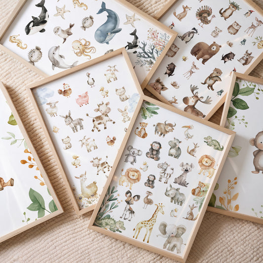 Poster zeedieren